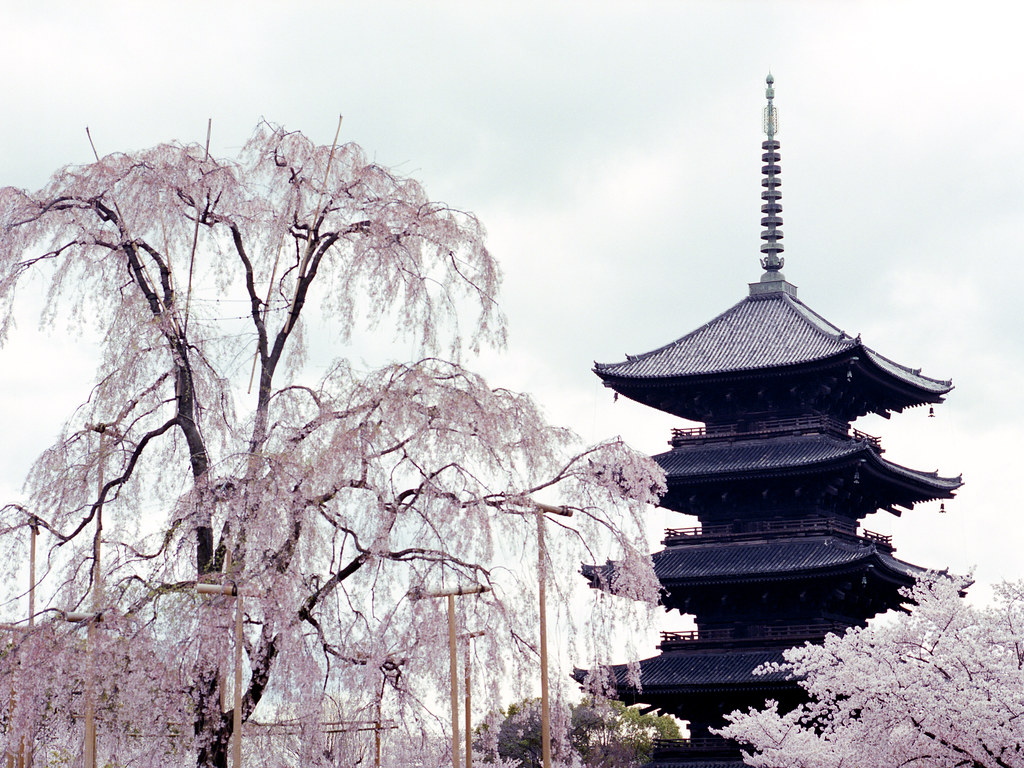 מקדש טוג'י - אזור תחנת קיוטו - To-ji Temple