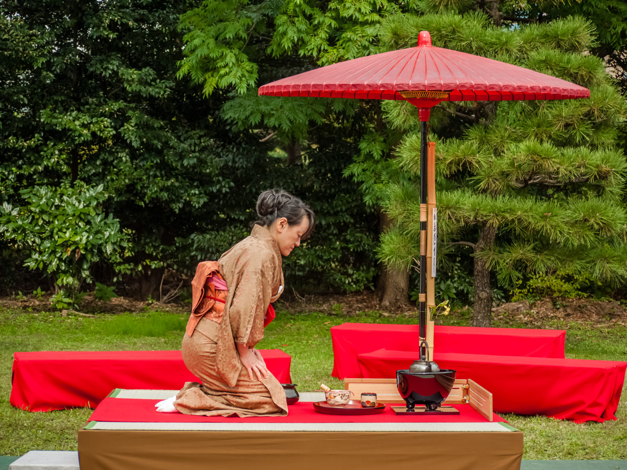 טקס תה גן קמליה - צפון-מערב קיוטו - Tea Ceremony Camellia Garden