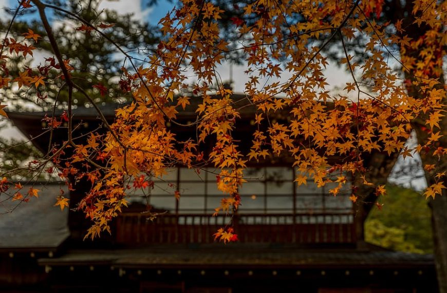 פארק זיכרון לוילת הקיסר טאמוזאווה – מרכז קיוטו Nikko Tamozawa Imperial Villa Memorial Park