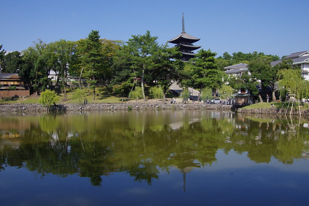 בריכת סארוסאווה – נארה – Sarusawa Pond